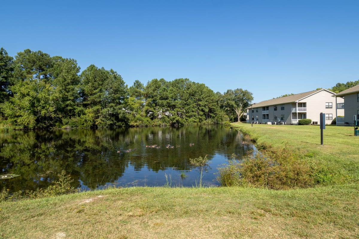 Photos and Video of Lakehurst Apartments in Spring Lake, NC